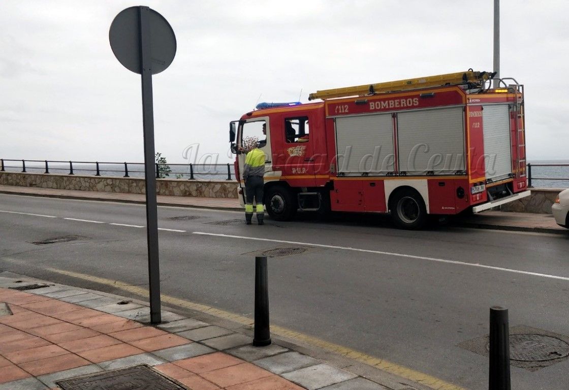 La Ciudad estudia crear una comisión de expertos para tratar la situación de los bomberos