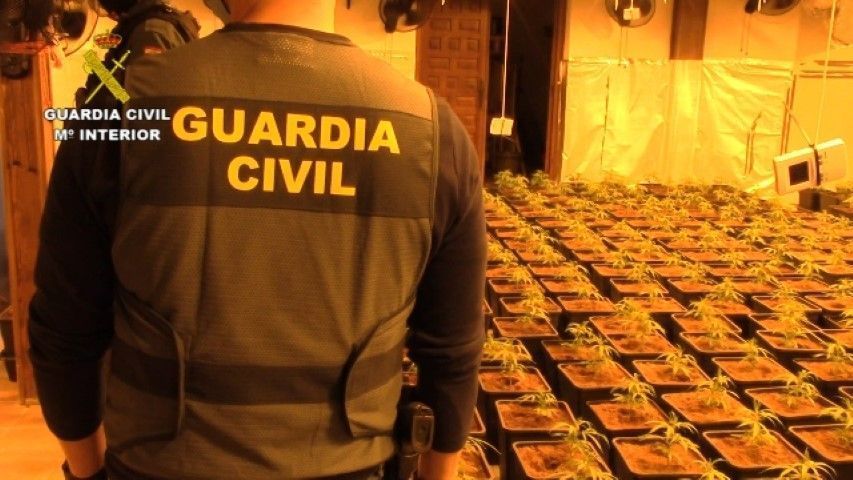 Golpe de la Guardia Civil al narcotráfico en varios puntos de España