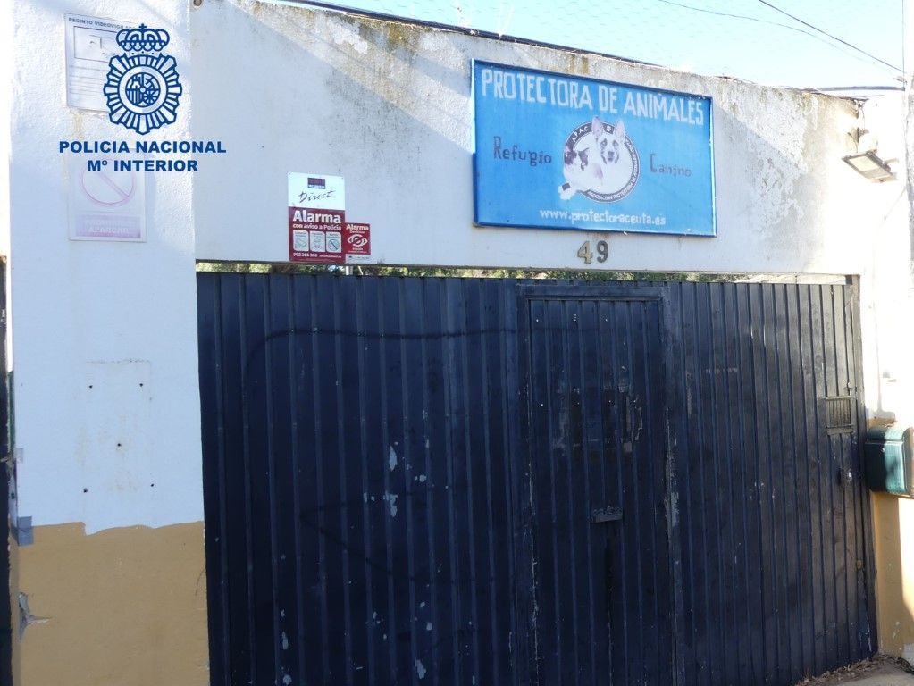 La Policía Nacional detiene a dos menores por robar en la Protectora de Animales de Ceuta