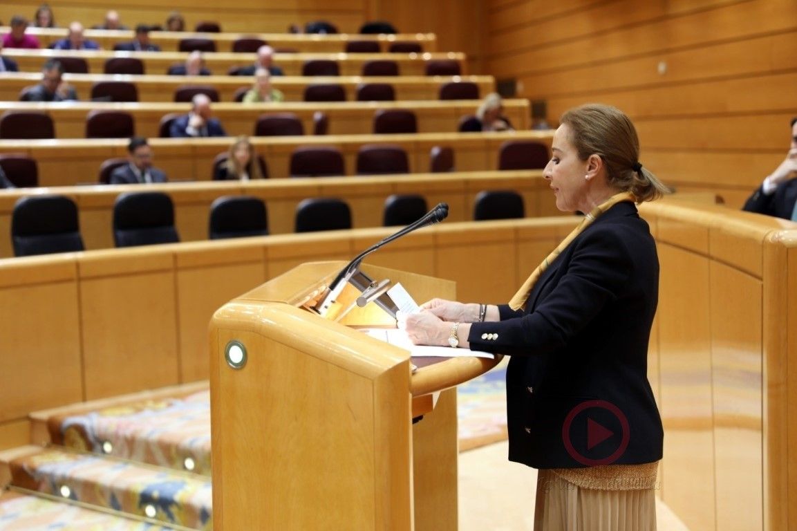 Vox ha registrado más de 40 preguntas en el Senado esta semana sobre el COVID-19