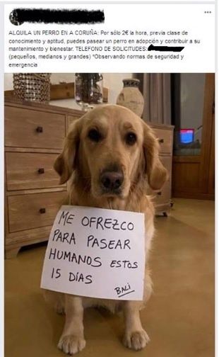 La Guardia Civil localiza a un hombre que alquilaba a sus perros para sacarlos a pasear durante el Estado de Alarma