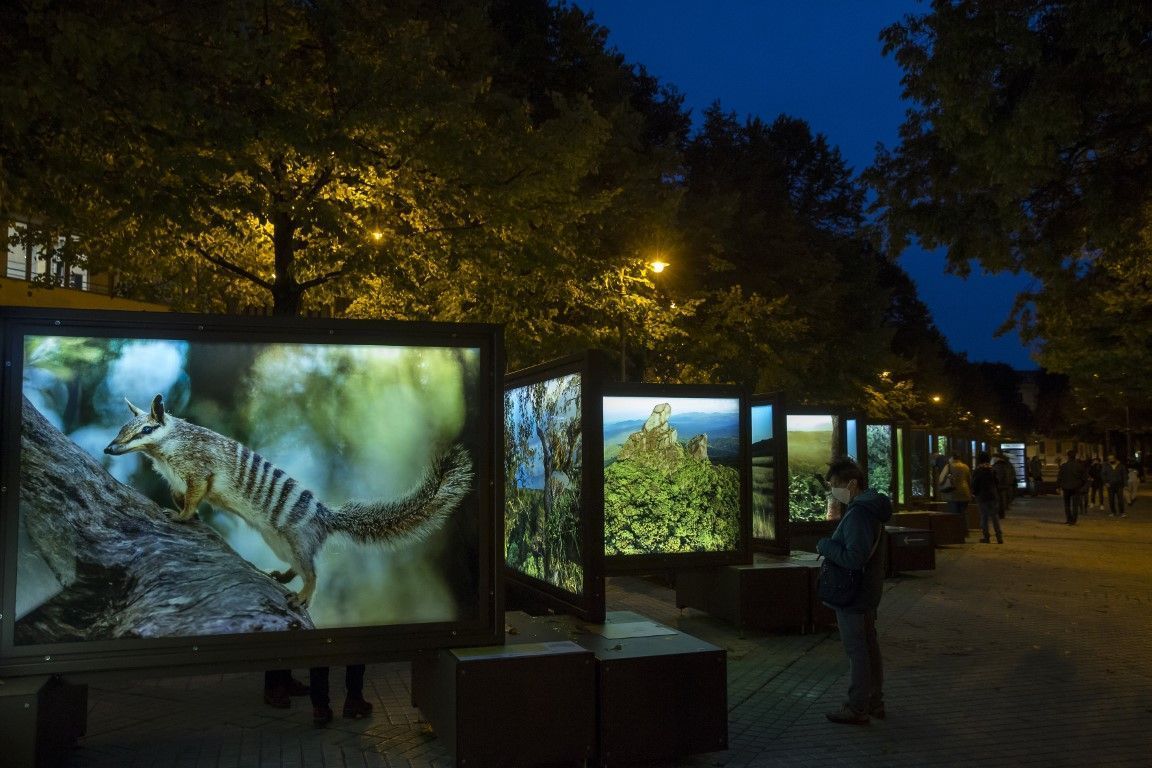 Inaugurada la exposición "De Polo a Polo" en La Marina con 52 fotografías. Imagen cedida