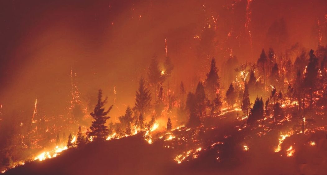 Andalucía solicitará la declaración de zona catastrófica por el incendio de Estepona y sus alrededores