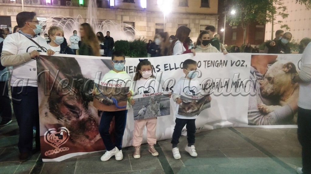 Soy tu voz afea a la Ciudad su gestión de los perros de la calle 