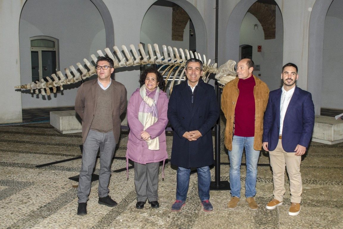 La Fundación Museo del Mar de Ceuta presenta el montaje de un esqueleto de zifio de Cuvier en el Campus Universitario de Ceuta