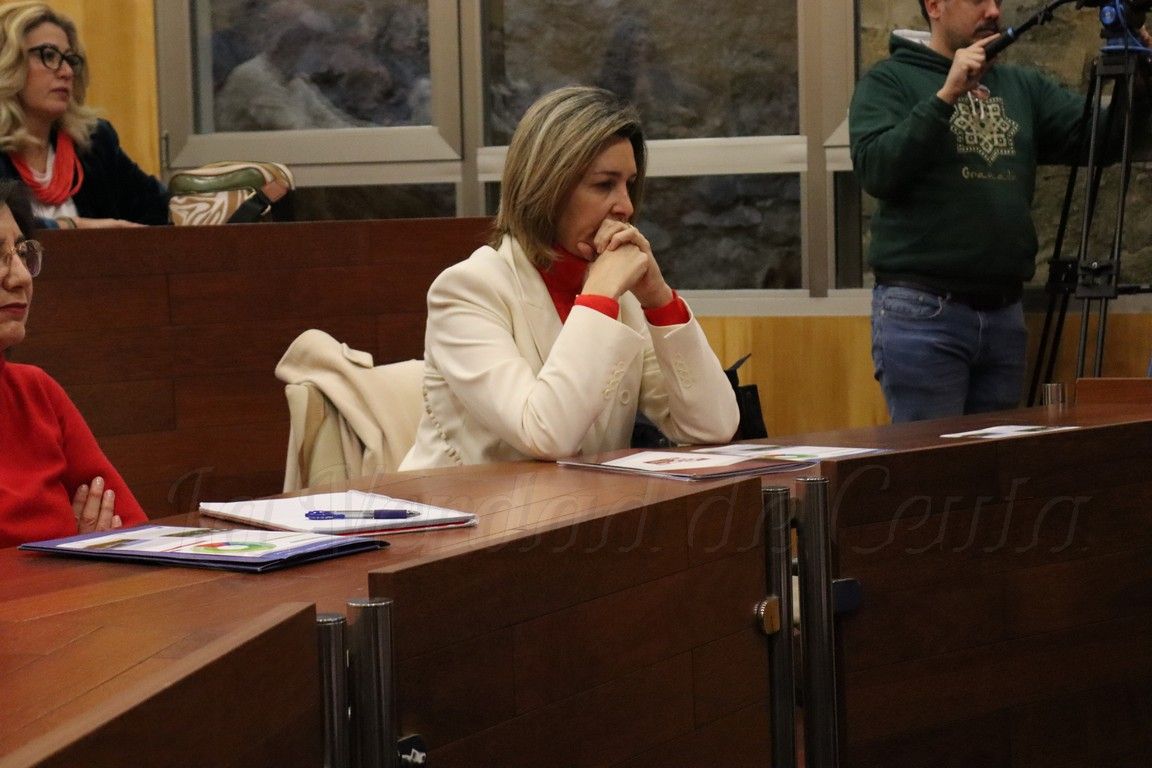 La CECE reclama datos periódicos y un horizonte para que las empresas puedan planificar su futuro