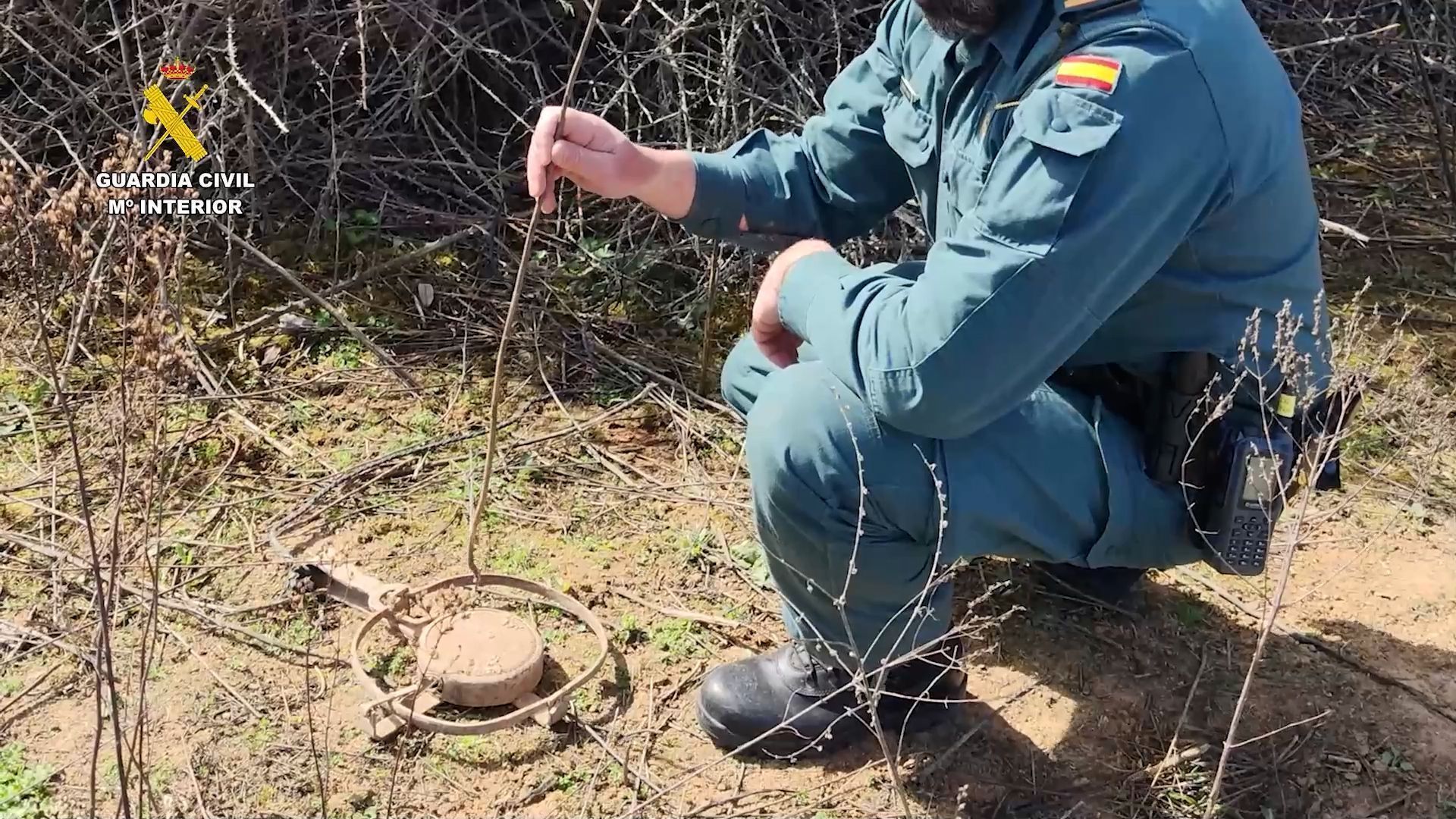 Guardia Civil intensifica la lucha contra el maltrato y el tráfico ilegal de animales