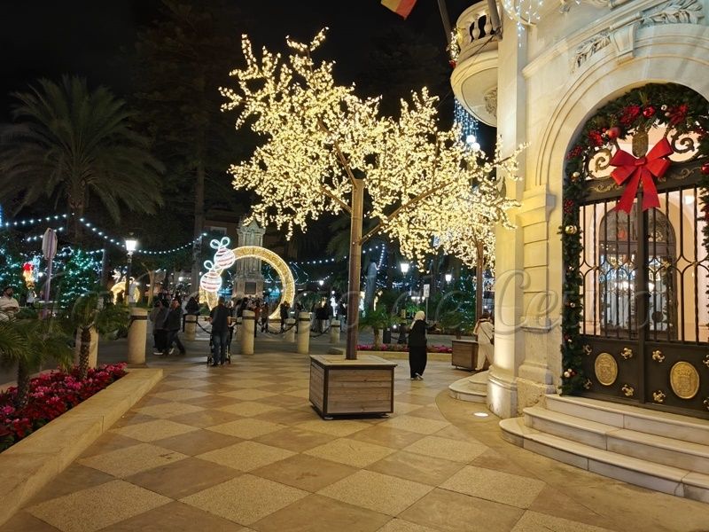 Alumbrado Centro 4