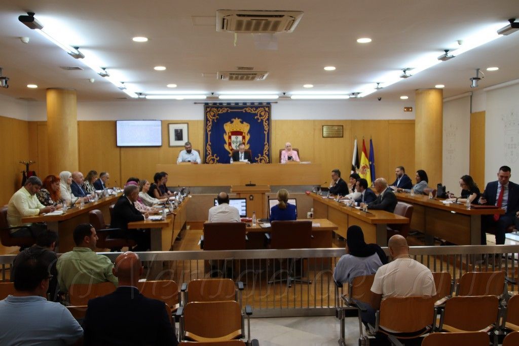 El PSOE interpela al Gobierno por la desigualdad en los parques infantiles, su política arboricida, la situación de la Manzana del Revellín y la inseguridad en los autobuses 