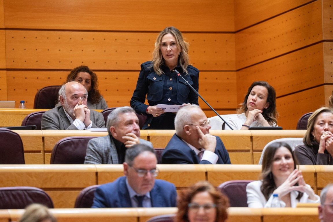 El PP exige a Pilar Alegría que explique cuáles son los plazos de ejecución del proyecto del Brull
