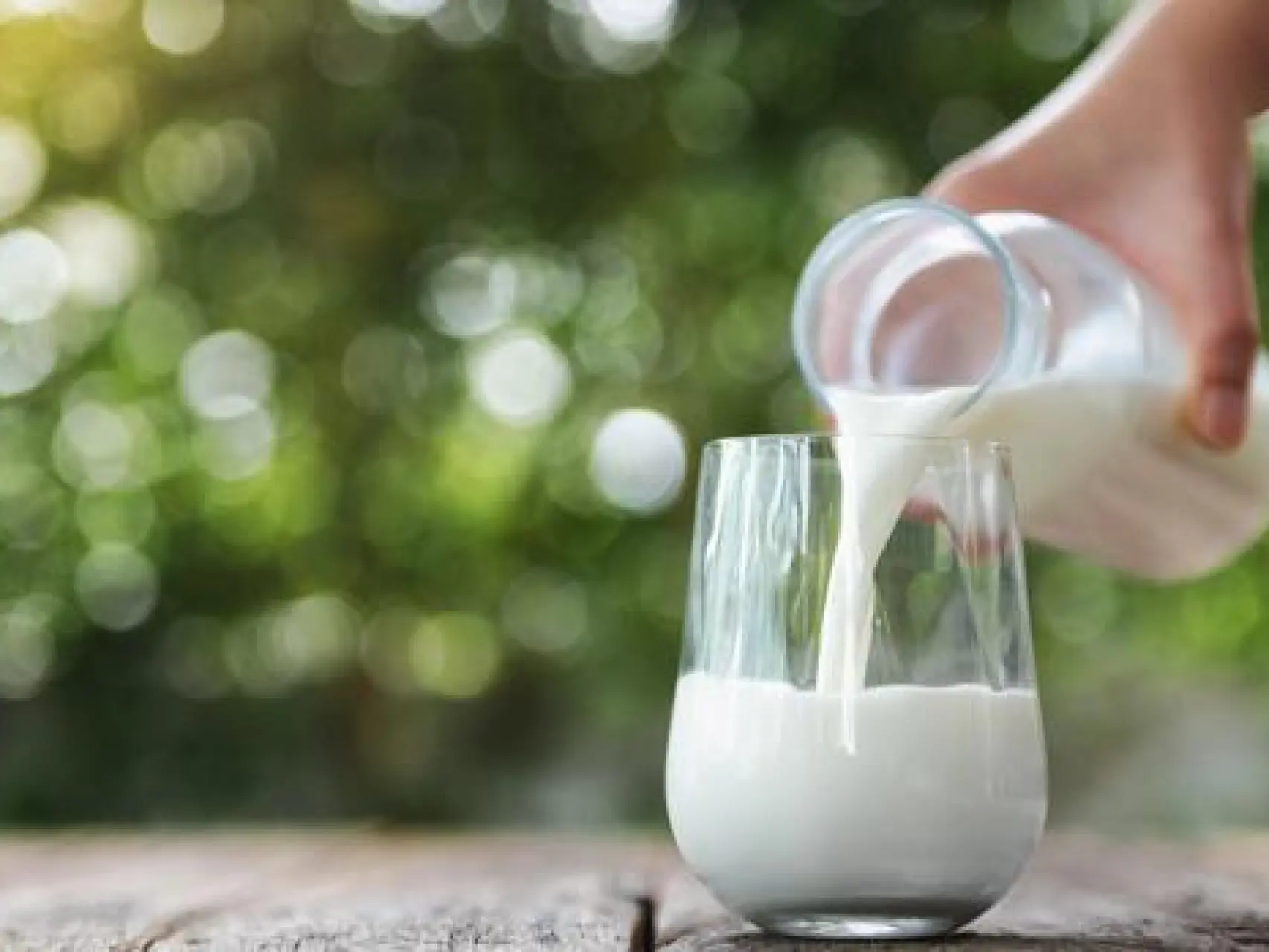 Concluyen que la leche de cabra fermentada contribuye a la recuperación de la anemia por deficiencia de hierro