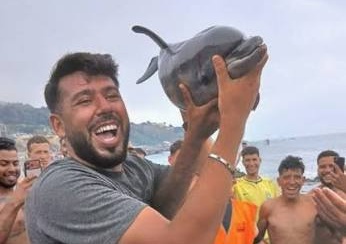 Los ecologistas denuncian la muerte de una cría de delfín a manos de migrantes en el Trampolín