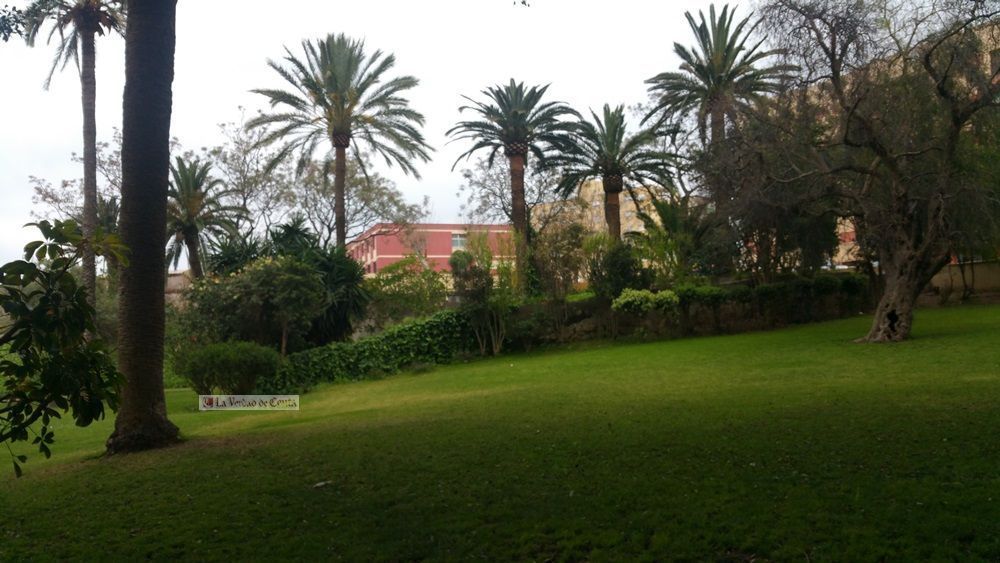 El PSOE denuncia la retirada del parque biosaludable de los Jardines de la Argentina. LVC