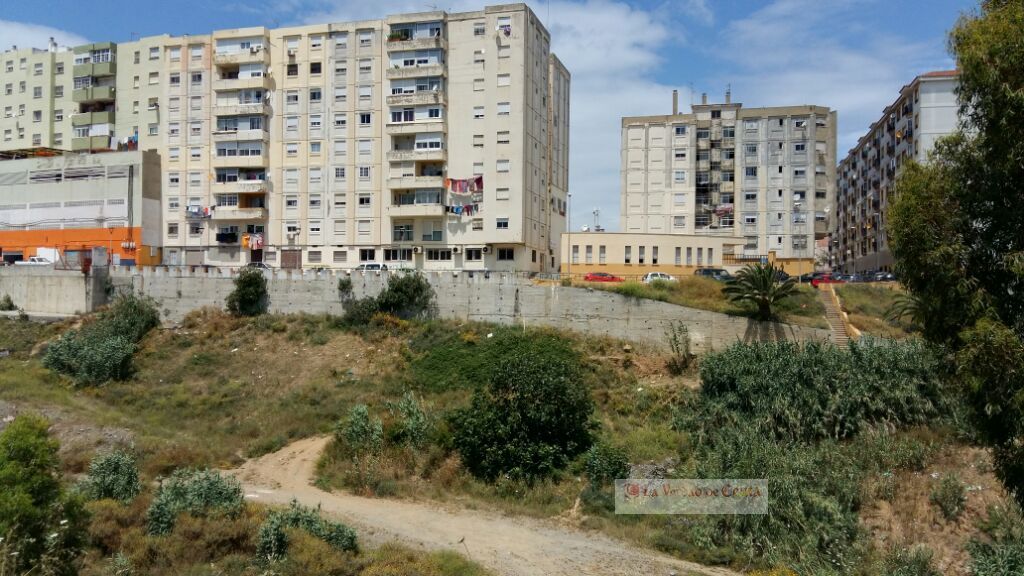 El PSOE solicitará el adecentamiento de un paso entre la zona de Virgen de la Palma y Avenida de Otero